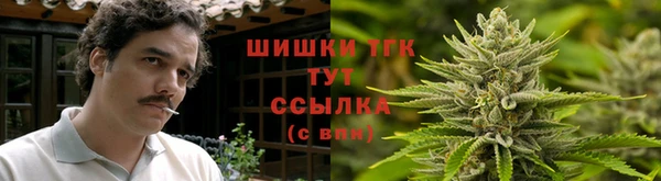 мдпв Вязники